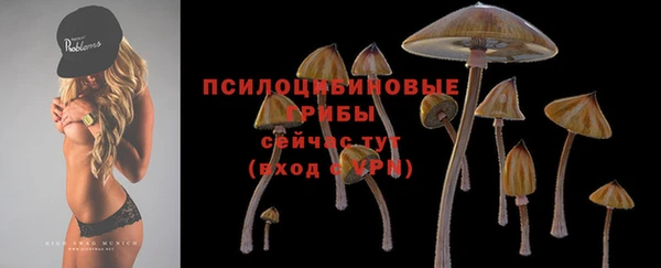 синтетический гашиш Каменногорск