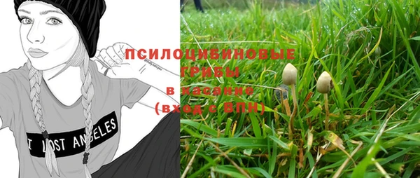 2c-b Каменка