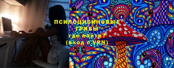 2c-b Каменка
