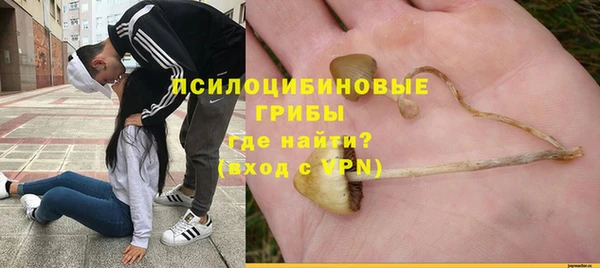 синтетический гашиш Каменногорск