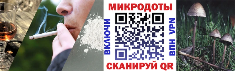 Купить где  Камышлов  Галлюциногенные грибы мицелий 